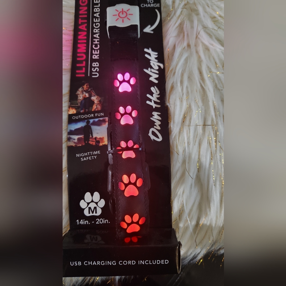NIGHT SCOUT USB RECHARGEABLE DOG COLLAR